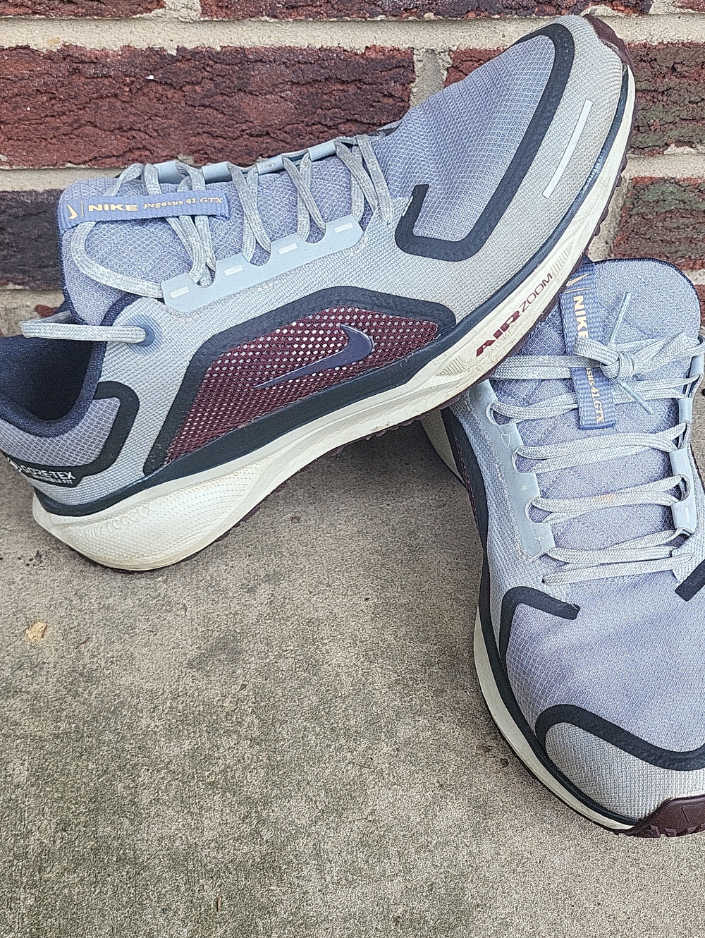 Nike PEGASUS 41 GTX